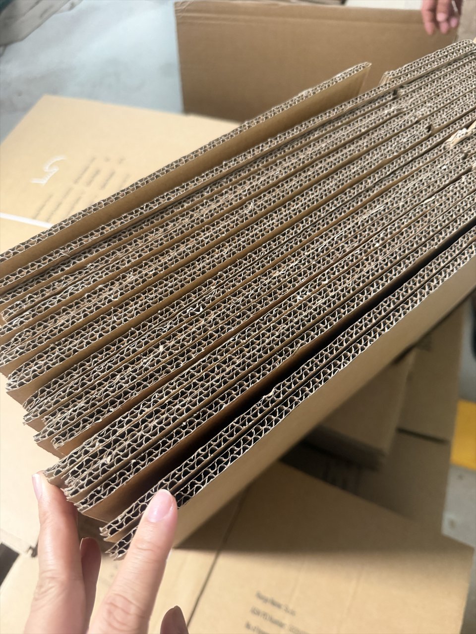 Corrugated board samples being compared during packaging material review